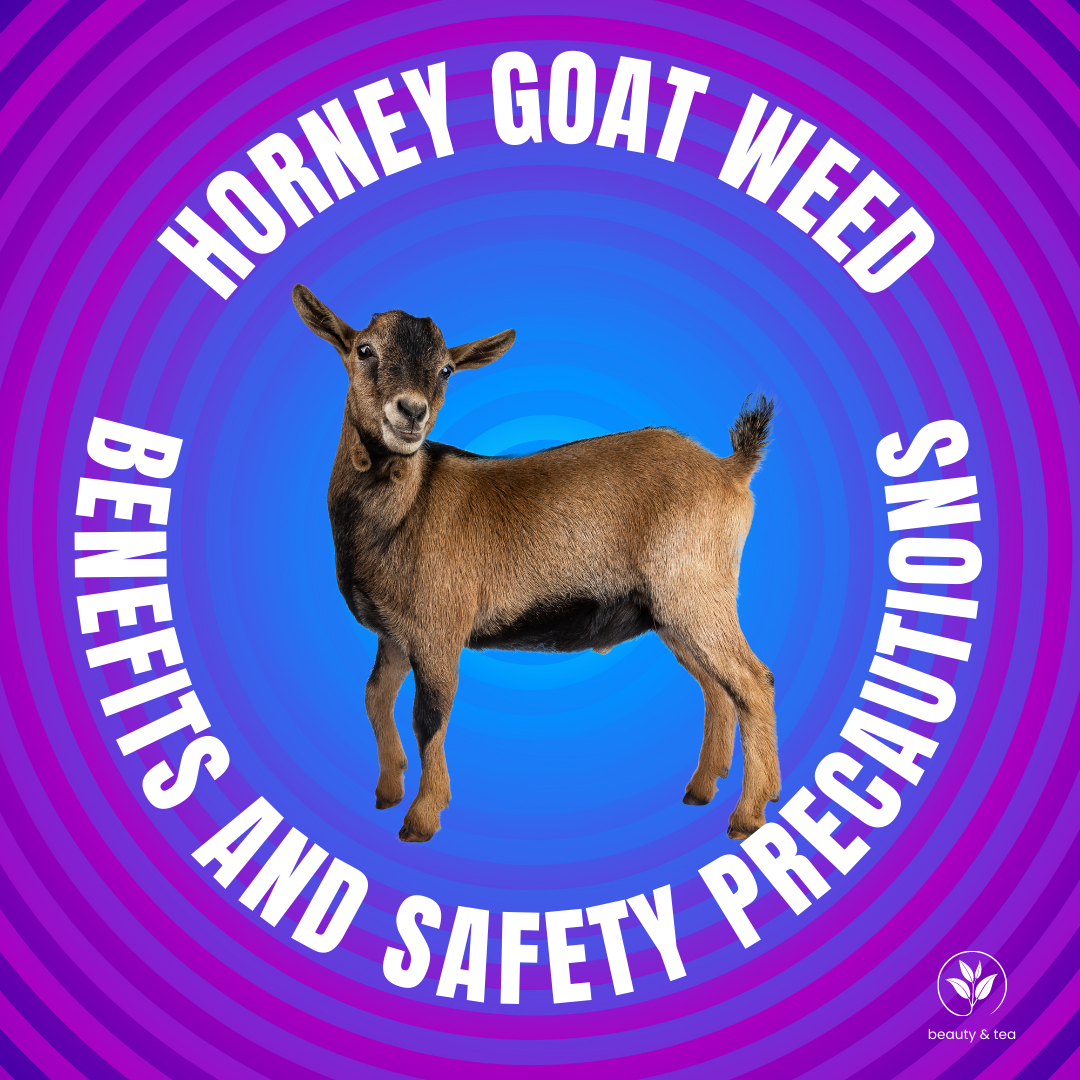 horney-goat-weed-beneftis